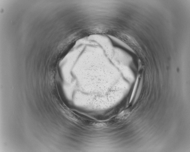 X0000069820409200606161920