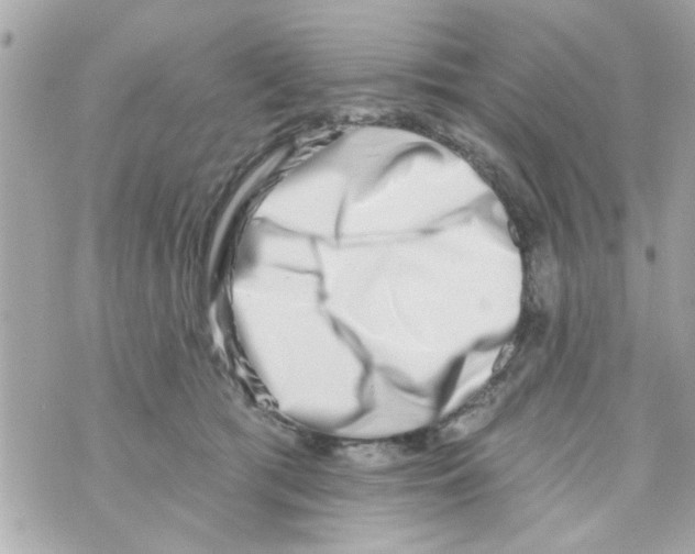 X0000069820417200606161920