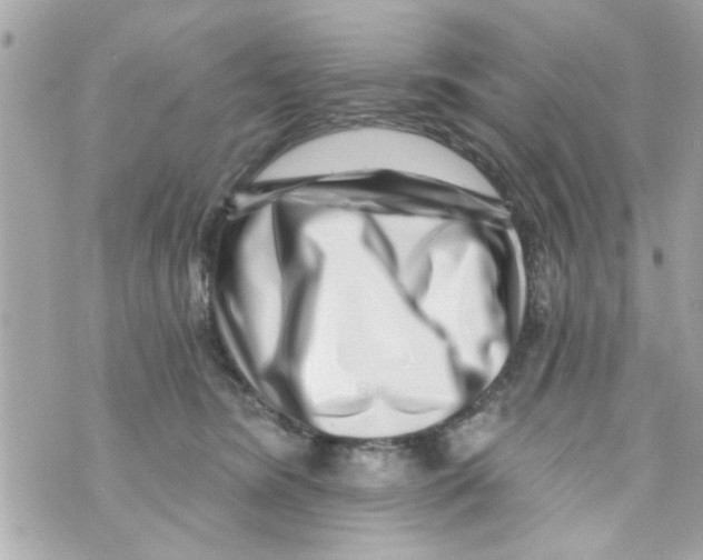 X0000069820420200606161920