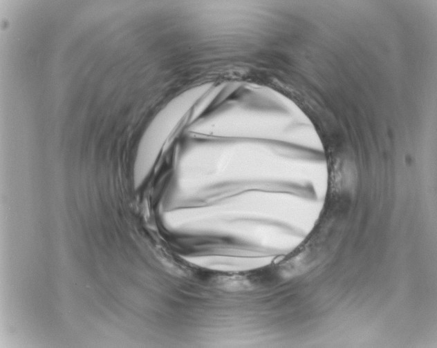 X0000069820424200606161919