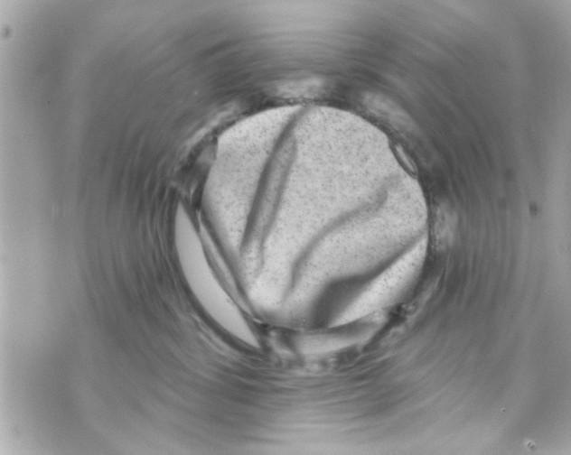 X0000069820428200606161919