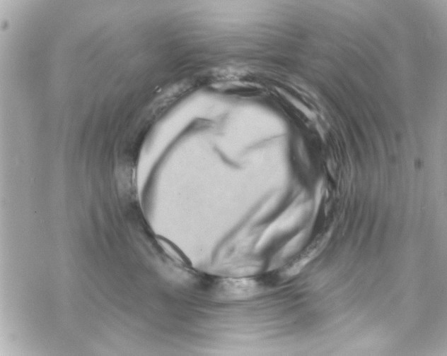 X0000069820429200606161919