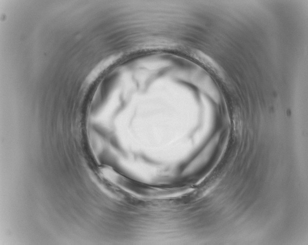 X0000069820436200606161919