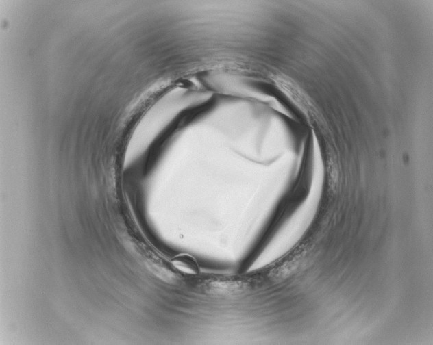 X0000069820442200606161919
