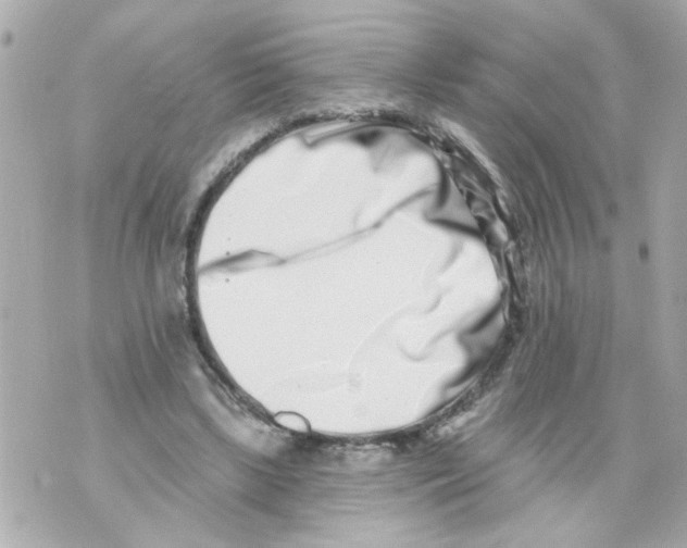 X0000069820443200606161919