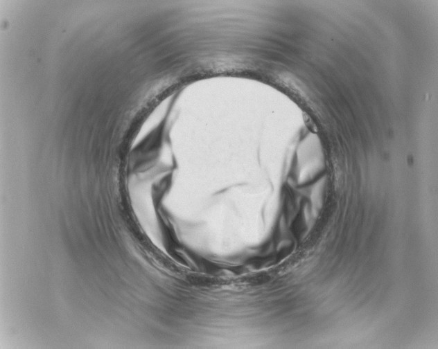X0000069820447200606161919
