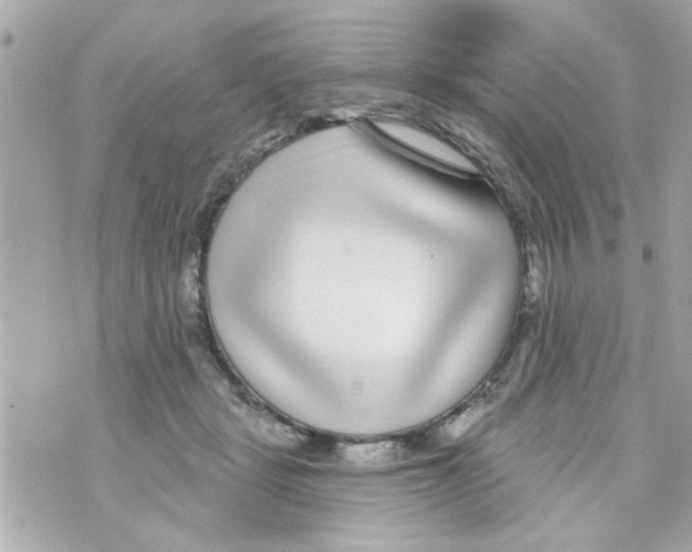 X0000069820461200606161919