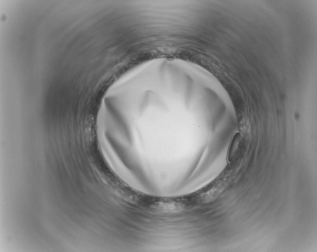 X0000069820464200606161919
