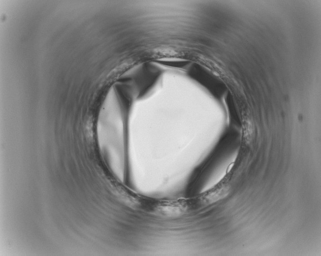 X0000069820466200606161919