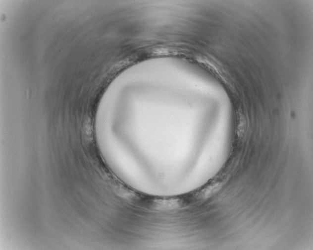 X0000069820469200606161919