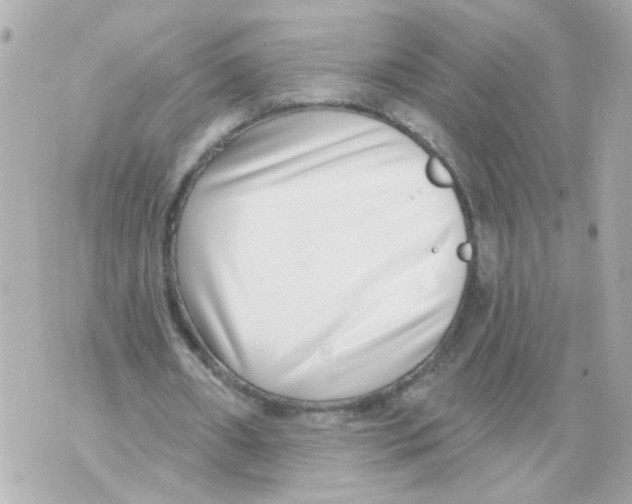 X0000069820482200606161919