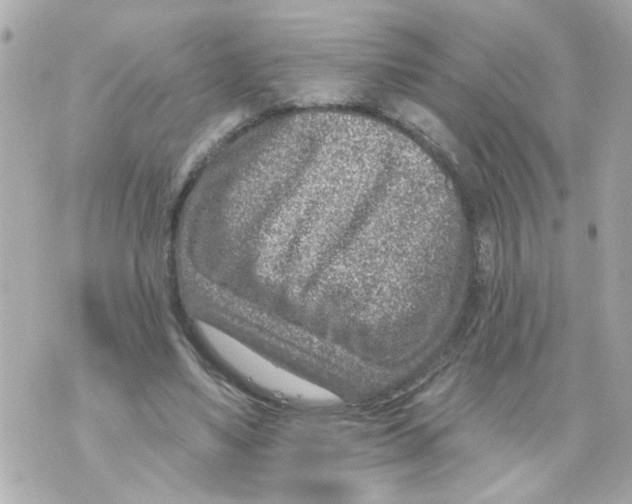 X0000069820491200606161918