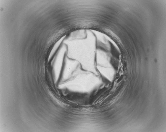 X0000069820493200606161918