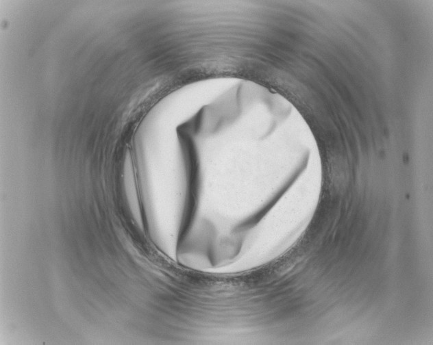 X0000069820494200606161918