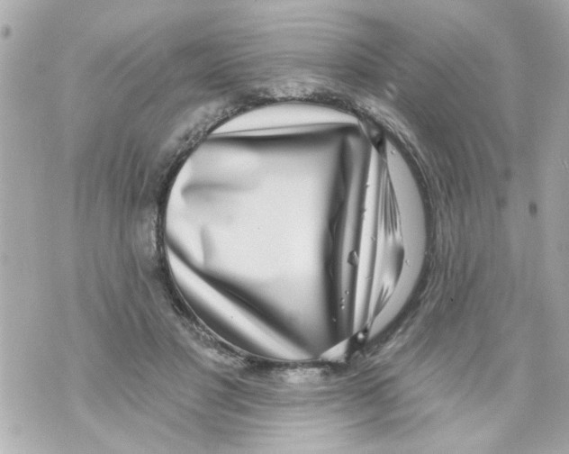 X0000069820501200606161918