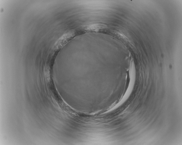 X0000069820504200606161918