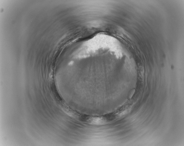 X0000069820507200606161918