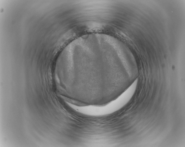 X0000069820508200606161918