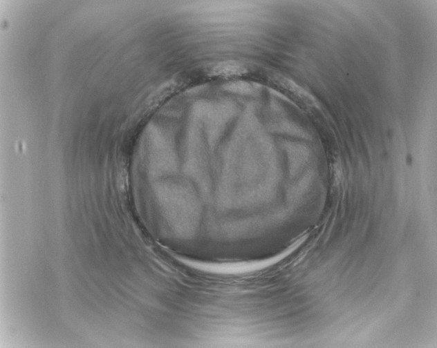 X0000069820517200606161918