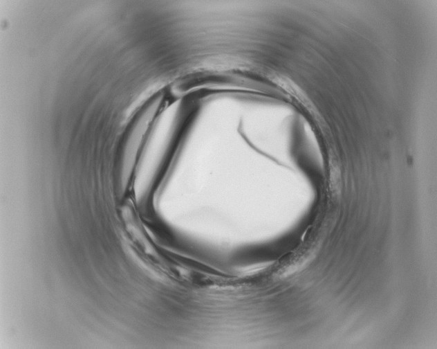 X0000069820530200606161917