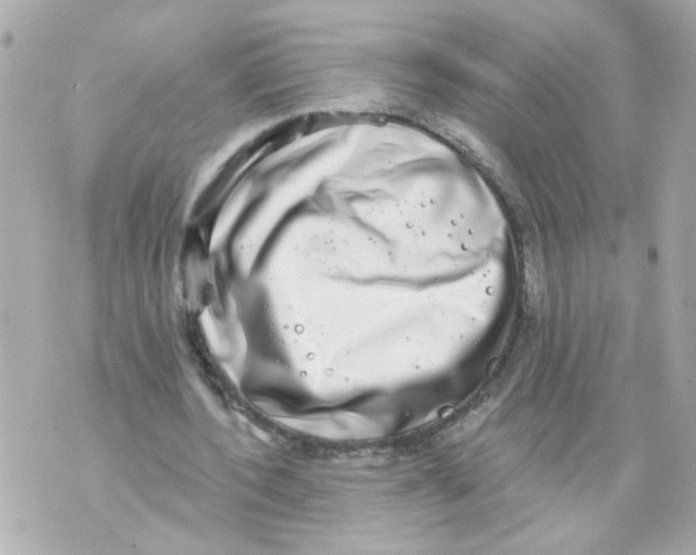 X0000069820532200606161917