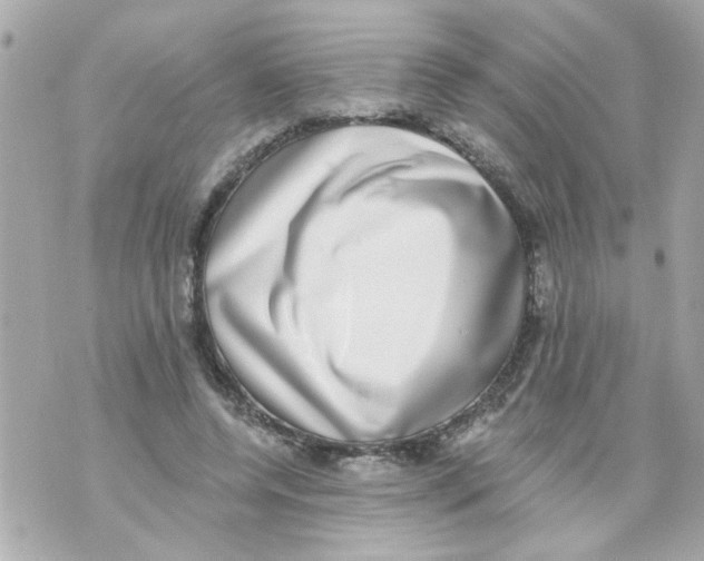 X0000069820544200606161917