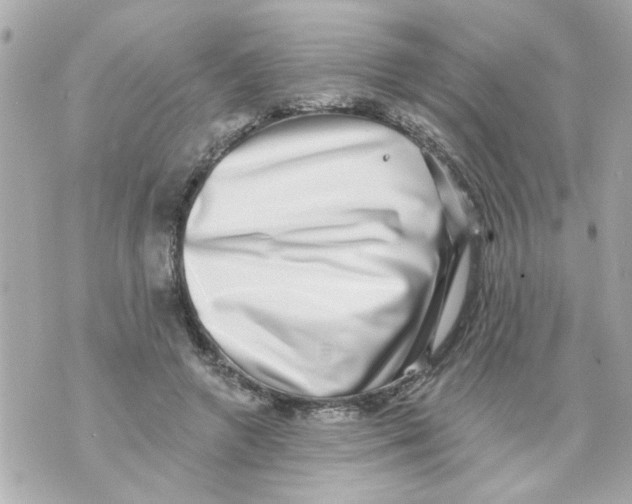 X0000069820546200606161917