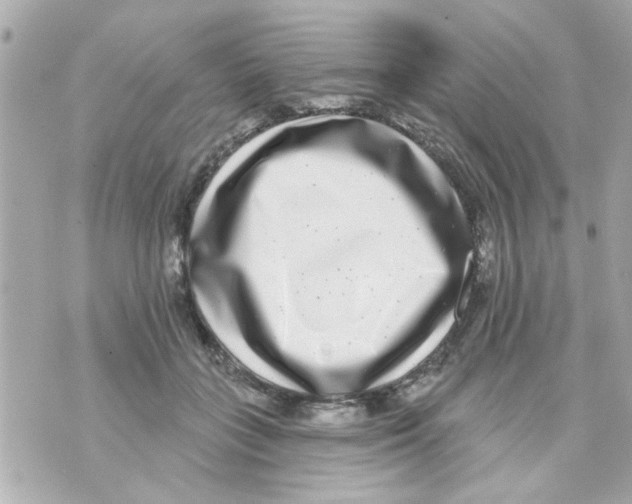X0000069820555200606161917
