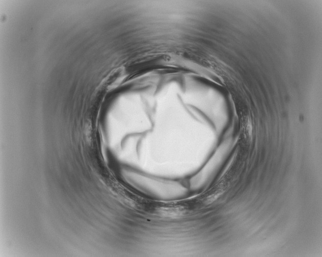 X0000069820556200606161917