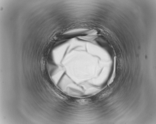 X0000069820558200606161917