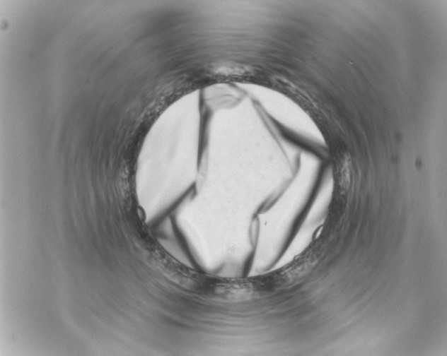 X0000069820559200606161917