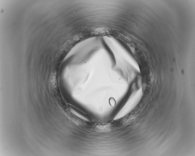 X0000069820560200606161918