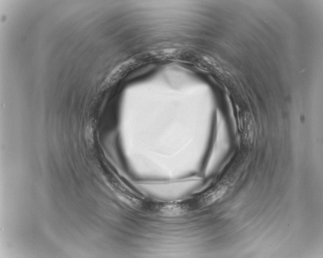 X0000069820562200606161918
