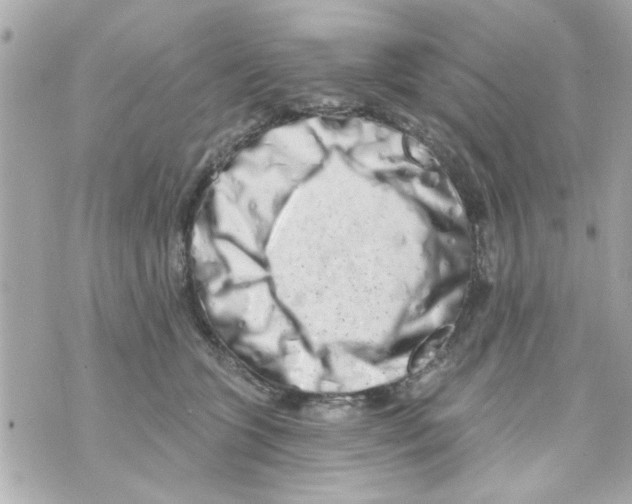 X0000069820563200606161918