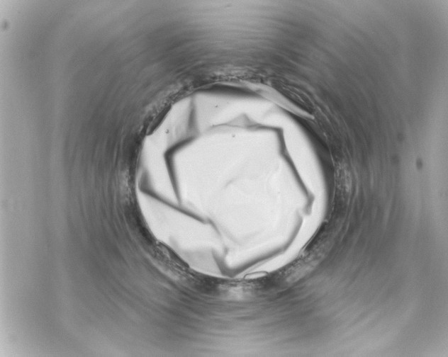 X0000069820564200606161918