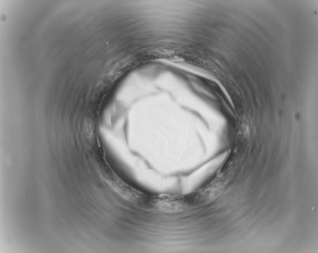 X0000069820568200606161918