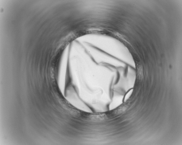 X0000069820571200606161918