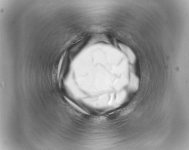 X0000069820576200606161918