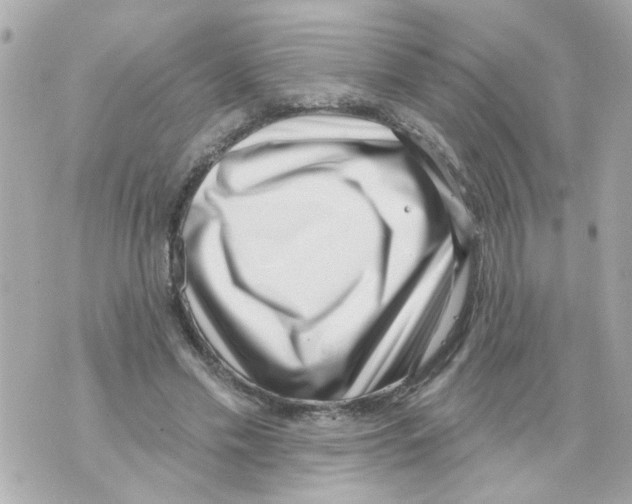 X0000069820589200606161917