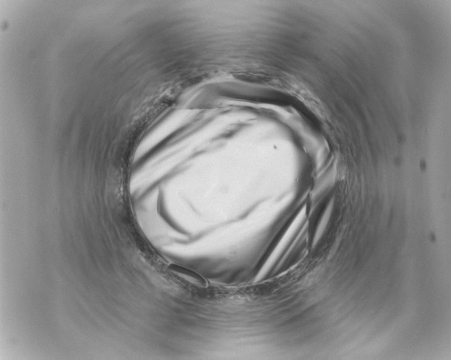 X0000069820593200606161917