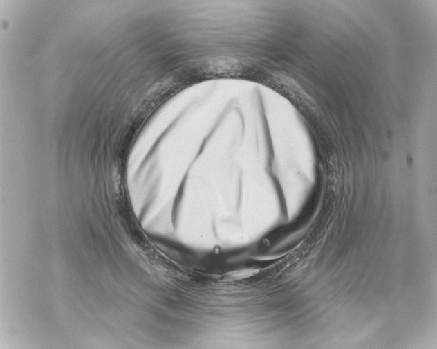 X0000069820597200606161917