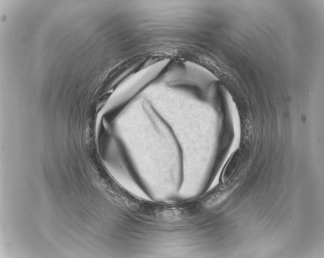 X0000069820600200606161917
