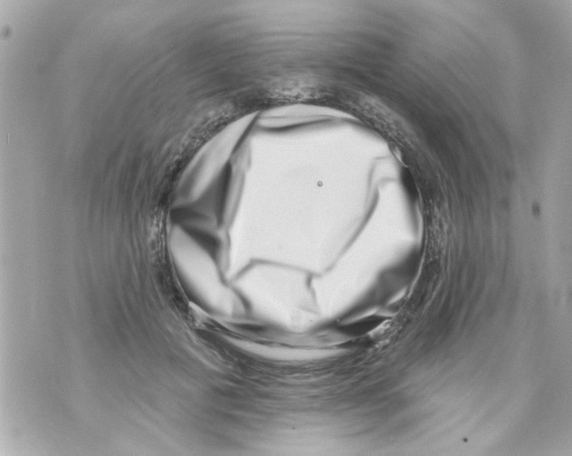 X0000069820601200606161917