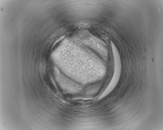 X0000069820604200606161917