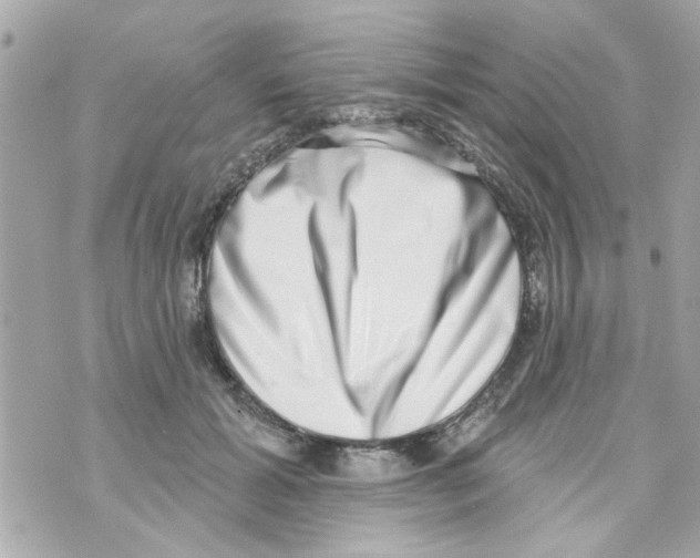 X0000069820605200606161917
