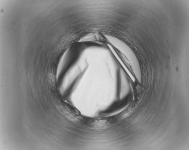 X0000069820609200606161916