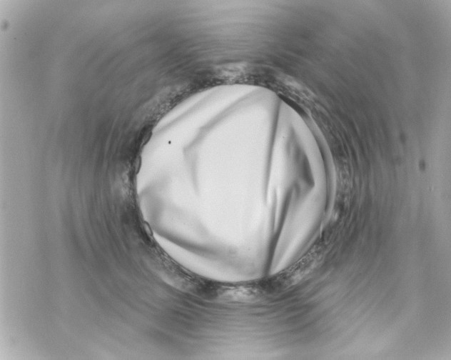 X0000069820611200606161916