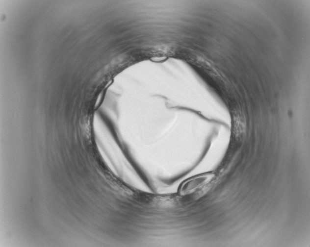 X0000069820613200606161916