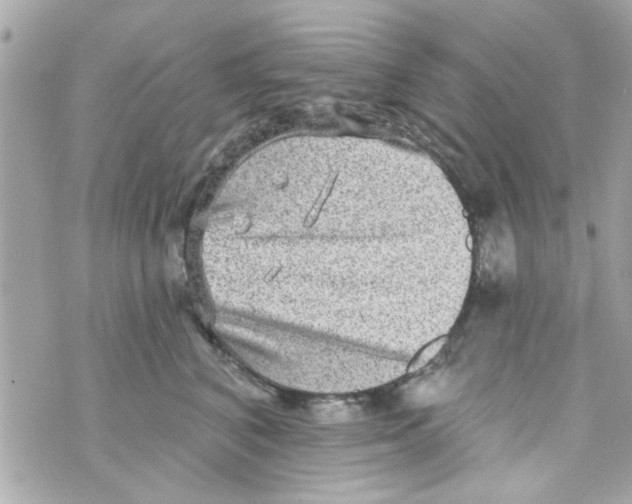 X0000069820616200606161916