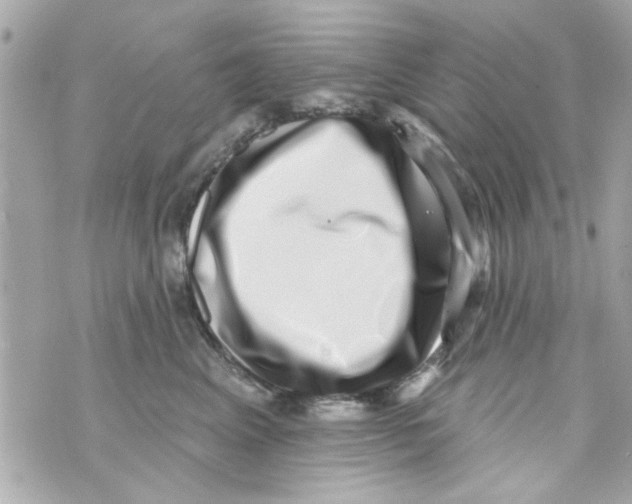 X0000069820617200606161916